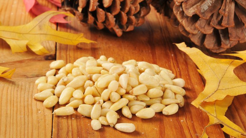 pine-nut-la-gi-nhung-loi-ich-ma-pine-nut-mang-lai-cho-suc-khoe-cua-chung-ta-202301181543199092