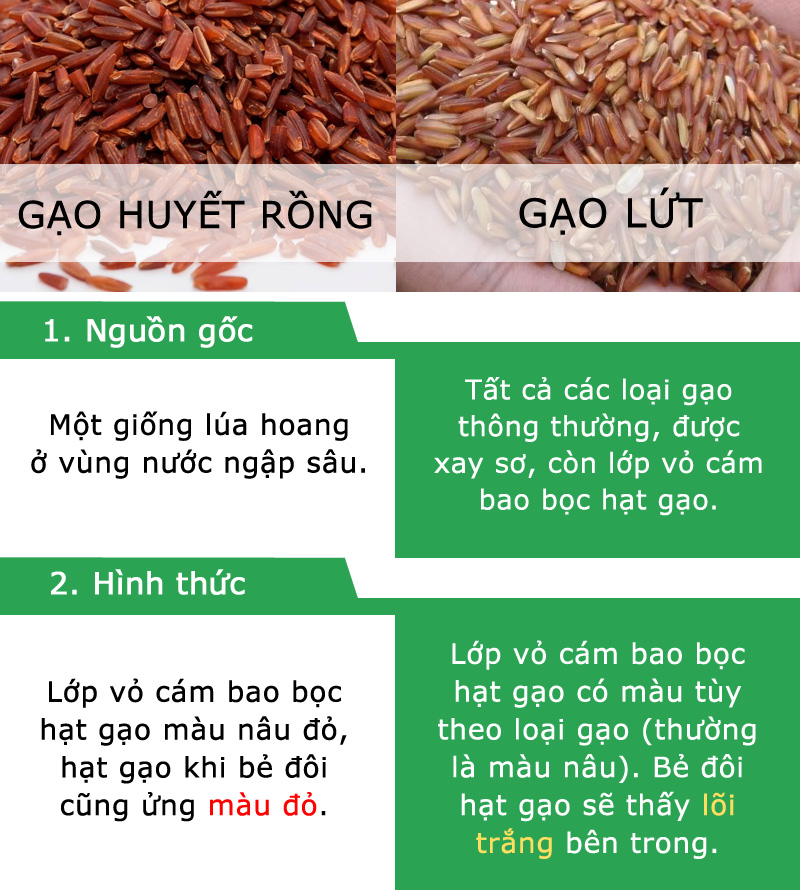 gao-huyet-rong-va-gao-lut-co-gi-khac-nhau-2_800x890