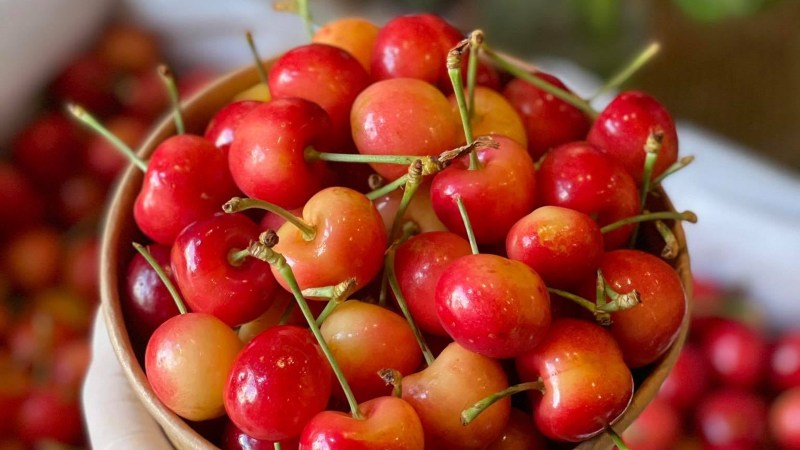 cach-phan-biet-cherry-my-va-cherry-trung-quoc-chinh-xac-202204260928114306