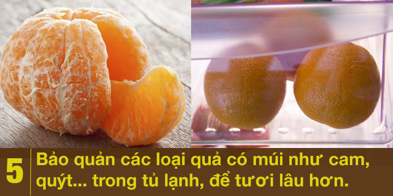 bo-tui-ngay-meo-vat-giu-mot-so-loai-rau-cu-tuoi-lau-hon-5_800x400