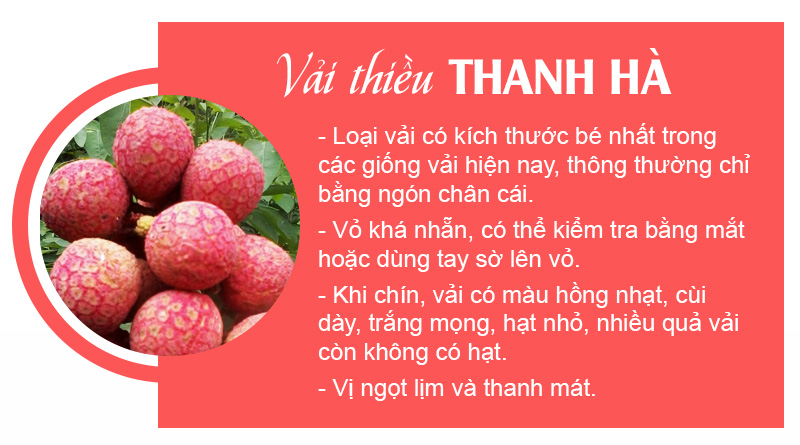 cach-phan-biet-vai-thieu-thanh-ha-vai-luc-ngan-va-vai-trung-quoc_2_800x445