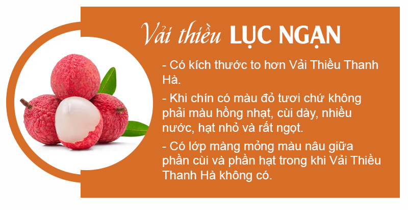 cach-phan-biet-vai-thieu-thanh-ha-vai-luc-ngan-va-vai-trung-quoc_3_800x411