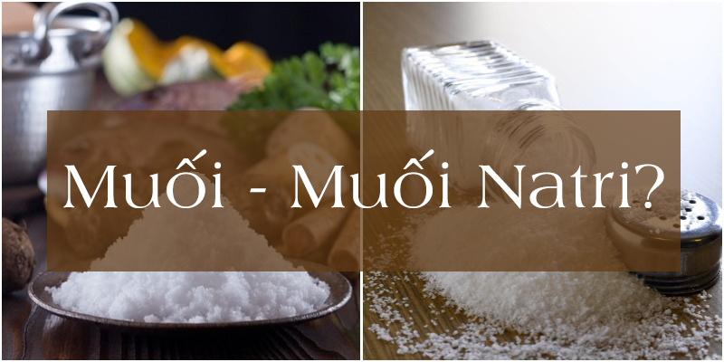 muoi-natri-va-muoi--co-gi-giong-va-khac-nhau-3_800x400