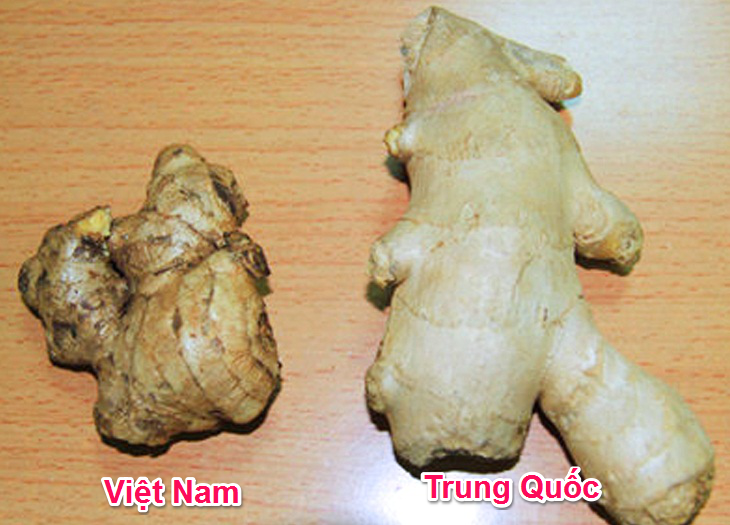 cach-nhan-biet-mot-so-loai-rau-cu-trung-quoc-4_730x525