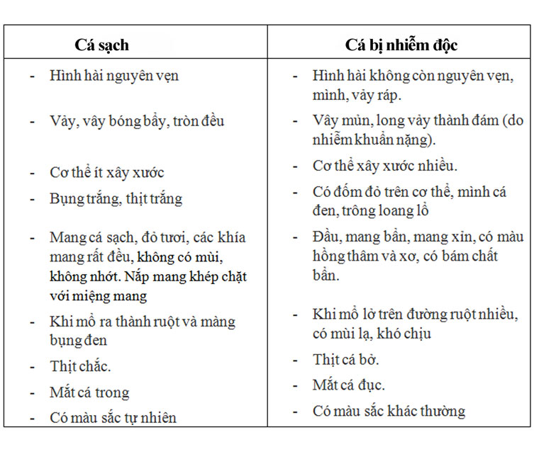 nhung-cach-giup-ban-nhan-biet-ca-bi-nhiem-doc-5_760x648