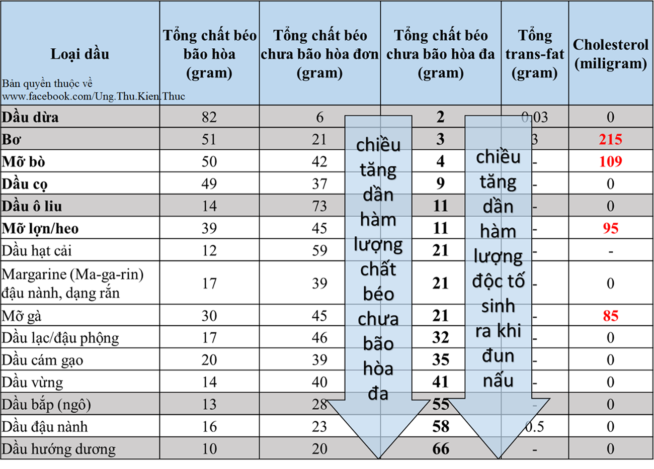 nhung-dieu-ve-dau-an-ma-ai-cung-nen-biet-1