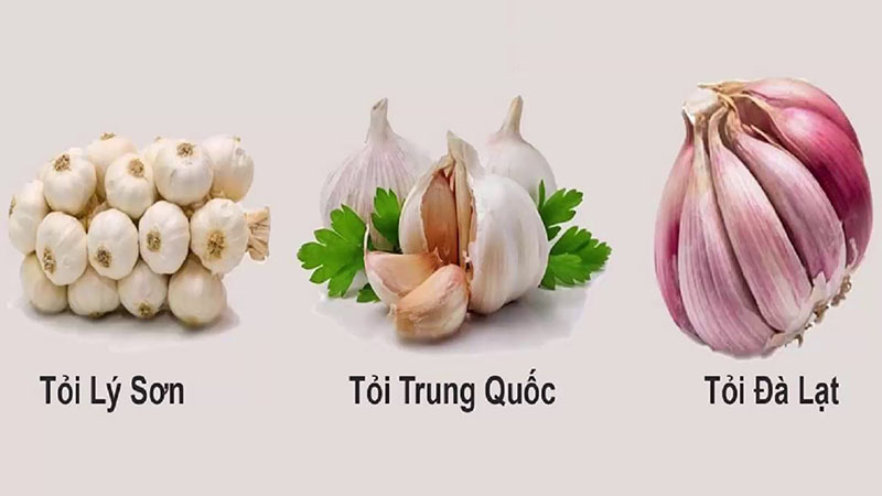 meo-phan-biet-cac-loai-cu-hanh-toi-gung-trung-quoc-202109291601289255