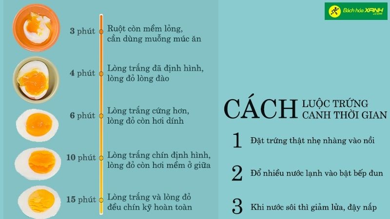 tat-tan-tat-ve-cach-luoc-trung-va-cach-canh-thoi-gian-cu-the-cho-cac-ba-noi-tro-202111041142006807