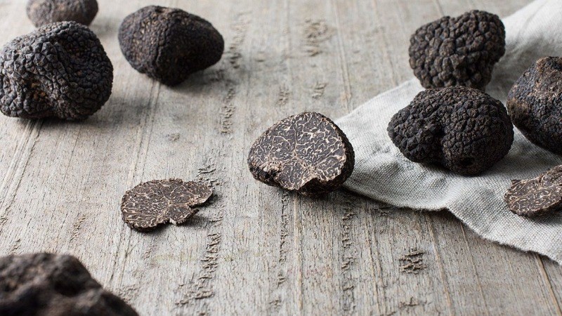 nam-truffle-la-gi-nam-truffle-co-tac-dung-gi-mua-o-dau-gia-bao-nhieu-202108311925098185