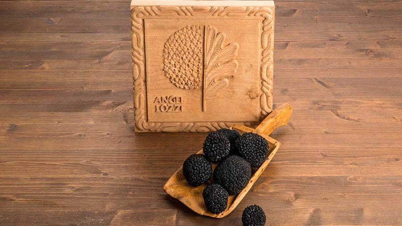 nam-truffle-la-gi-nam-truffle-co-tac-dung-gi-mua-o-dau-gia-bao-nhieu-202108311925200077